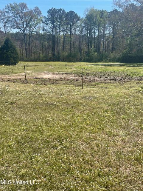 1176 Midway Rd, Lena, MS 39094 photo 27