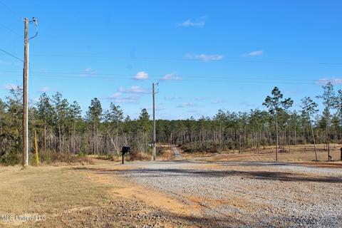 217 Pineview Dr, Lucedale, MS 39452 photo 4
