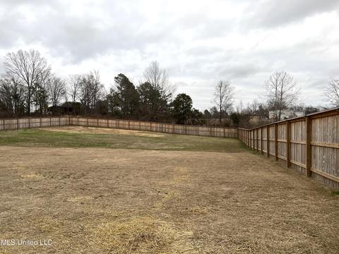 2906 Fall Spring Dr, Olive Branch, MS 38654 photo 33