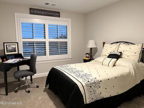2906 Fall Spring Dr, Olive Branch, MS 38654 photo 25