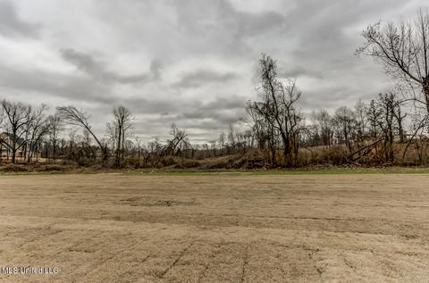 Exterior - 8071 Briscoe Dr, Olive Branch, MS 38654 photo 4 of 4