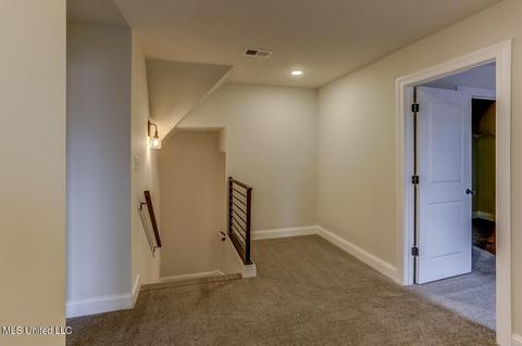 Other - 8071 Briscoe Dr, Olive Branch, MS 38654 photo 12 of 13