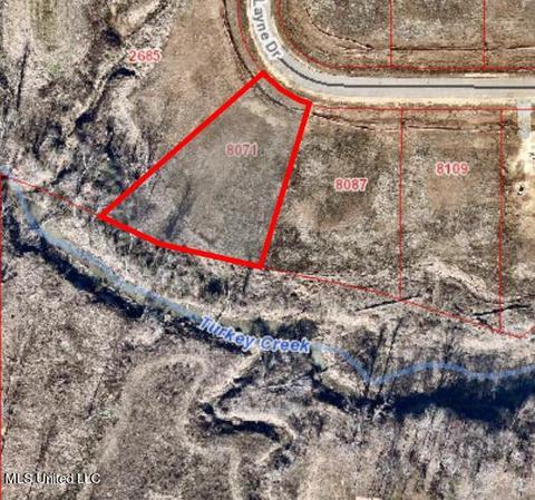 View/Area - 8071 Briscoe Dr, Olive Branch, MS 38654 photo 1 of 1