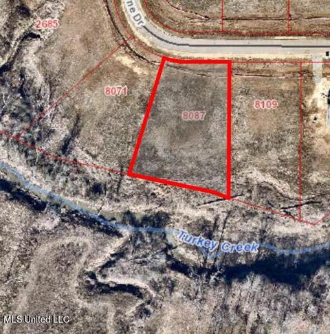 8087 Briscoe Dr, Olive Branch, MS 38654 photo 28