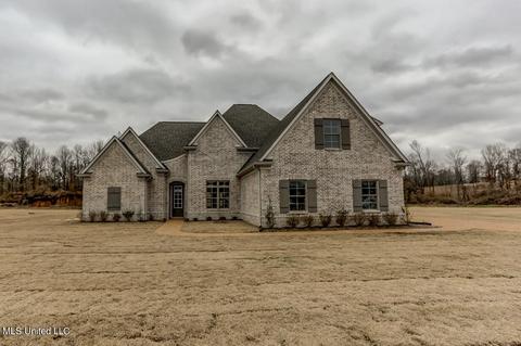 8087 Briscoe Dr, Olive Branch, MS 38654 photo 1