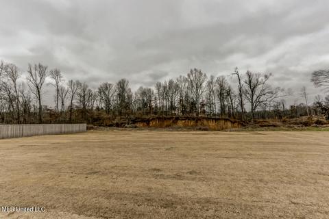 8109 Briscoe Dr, Olive Branch, MS 38654 photo 30