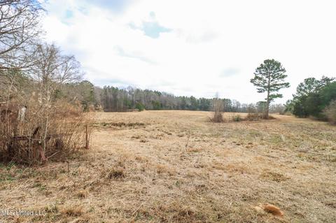 148 John Day Rd, Canton, MS 39046 photo 33