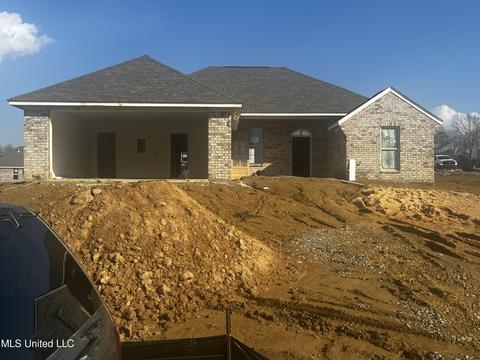 100 Brunswick Cv, Canton, MS 39046 photo 1