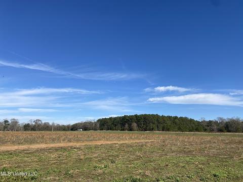 233 Sally Parker Rd, Lucedale, MS 39452 photo 17