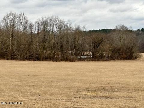 Cleveland Road, Hernando, MS 38632 photo 4