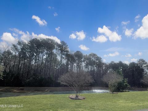 291 Winterfield Ct, Brandon, MS 39042 photo 21