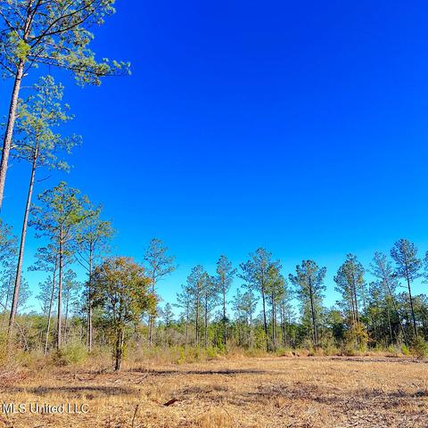 109 Garko Ln, Lucedale, MS 39452