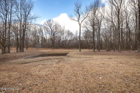 2926 Laverne Rd, Nesbit, MS 38651 photo 33