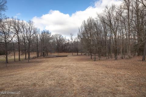 2926 Laverne Rd, Nesbit, MS 38651 photo 32