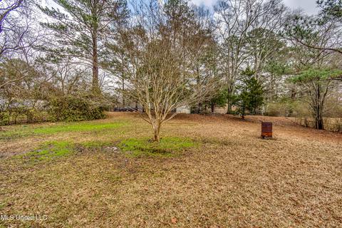 109 Springridge Dr, Brandon, MS 39042 photo 46