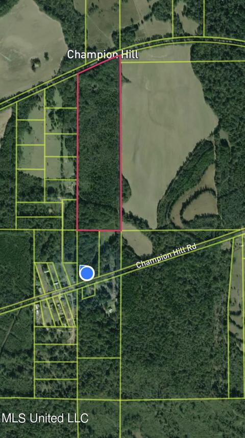 3100 Champion Hill Rd, Edwards, MS 39066