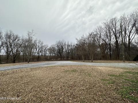 200 Warner Dr #PVT, Sledge, MS 38670 photo 2