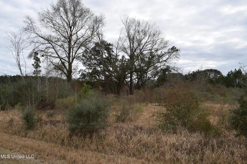 6 50- Ac Highway 63 S, Lucedale, MS 39452 photo 5