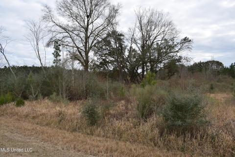 6 50- Ac Highway 63 S, Lucedale, MS 39452