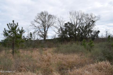 6 50- Ac Highway 63 S, Lucedale, MS 39452 photo 2