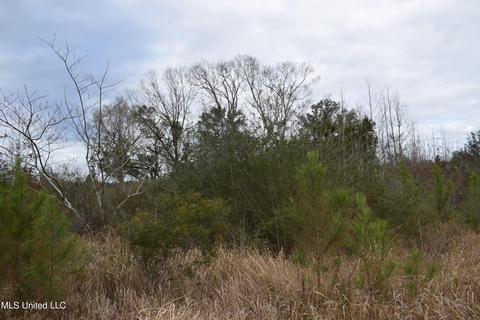 6 50- Ac Highway 63 S, Lucedale, MS 39452 photo 3