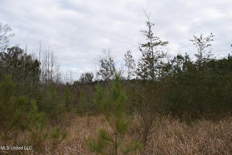 6 50- Ac Highway 63 S, Lucedale, MS 39452 photo 4
