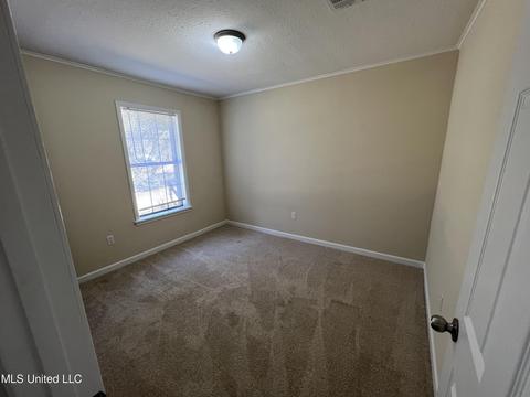 397 Moore St, Morton, MS 39117 photo 19