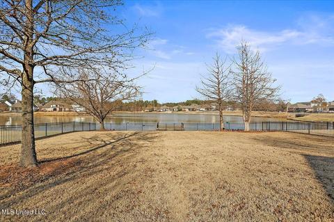 100 Covington Bnd, Madison, MS 39110 photo 56