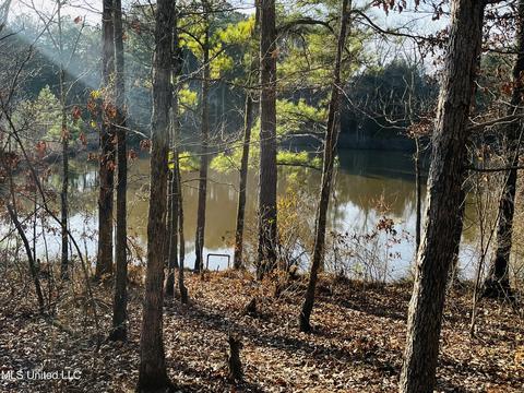 225 Burdine Rd, Kosciusko, MS 39090