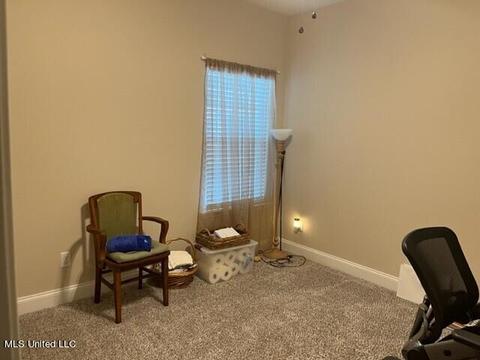 507 Abey Ln, Hernando, MS 38632 photo 20