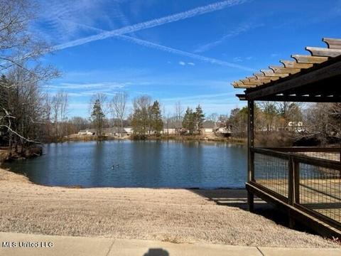 507 Abey Ln, Hernando, MS 38632 photo 33