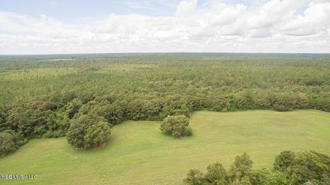 19494 Esther Rd, Saucier, MS 39574 photo 13