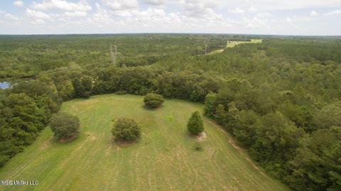19494 Esther Rd, Saucier, MS 39574 photo 16