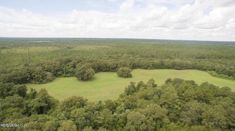 19494 Esther Rd, Saucier, MS 39574 photo 19
