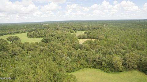 19494 Esther Rd, Saucier, MS 39574 photo 2