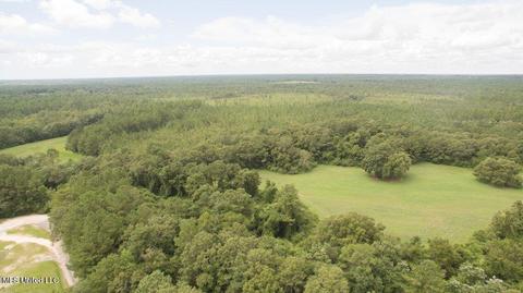 19494 Esther Rd, Saucier, MS 39574 photo 14