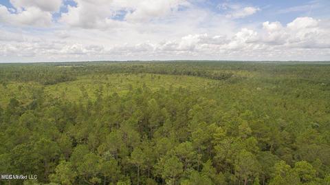19494 Esther Rd, Saucier, MS 39574 photo 5