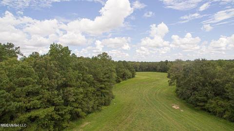 19494 Esther Rd, Saucier, MS 39574 photo 7