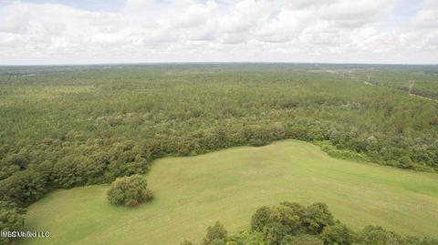 19494 Esther Rd, Saucier, MS 39574 photo 12