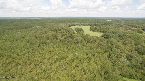 19494 Esther Rd, Saucier, MS 39574 photo 3