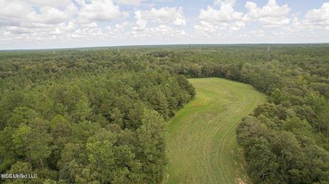 19494 Esther Rd, Saucier, MS 39574 photo 6