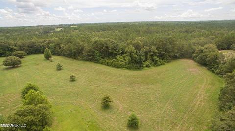 19494 Esther Rd, Saucier, MS 39574 photo 15