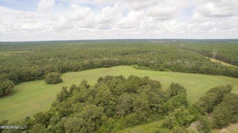 19494 Esther Rd, Saucier, MS 39574 photo 18