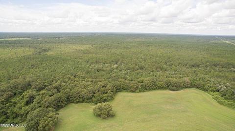 19494 Esther Rd, Saucier, MS 39574 photo 11