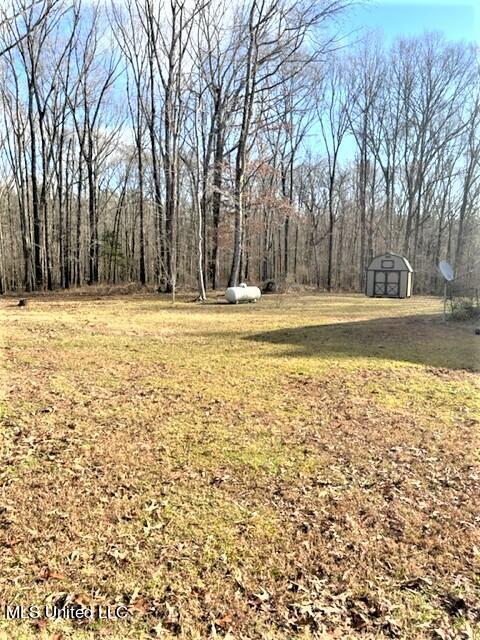 1665 Bill Strong Rd, Edwards, MS 39066 photo 39