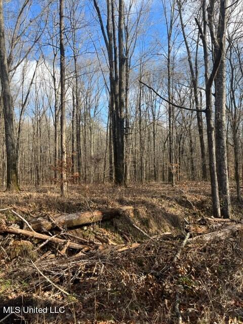 1665 Bill Strong Rd, Edwards, MS 39066 photo 35