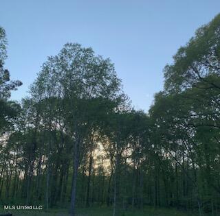 1665 Bill Strong Rd, Edwards, MS 39066 photo 41