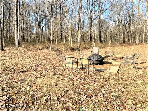 1665 Bill Strong Rd, Edwards, MS 39066 photo 6