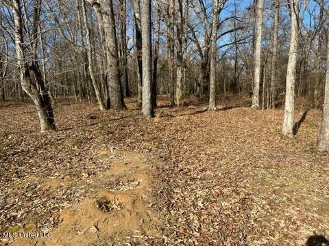 1665 Bill Strong Rd, Edwards, MS 39066 photo 37