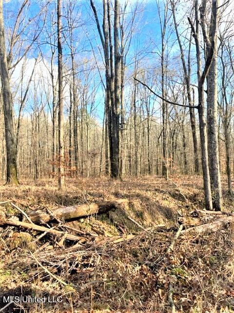 1665 Bill Strong Rd, Edwards, MS 39066 photo 9